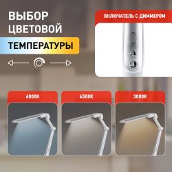 Настольный светильник ЭРА NLED-496-12W-S светодиодный на струбцине серебро