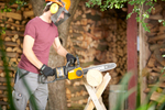 Пила сетевая WORX WG307E JawSaw