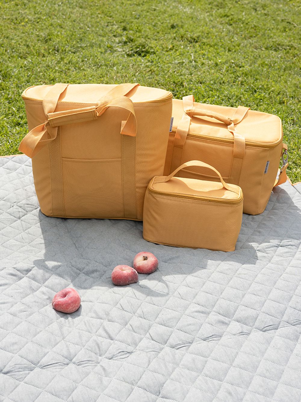 Термосумка для пикника Smart Picnic, L, горчичная