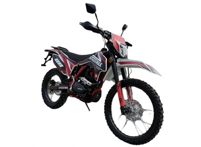 Мотоцикл GT Racer Max 300 (175FMN) 21/18
