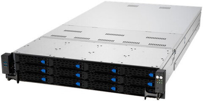 Серверная платформа Asus RS720A-E13-RS12U (90SF0441-M000J0)