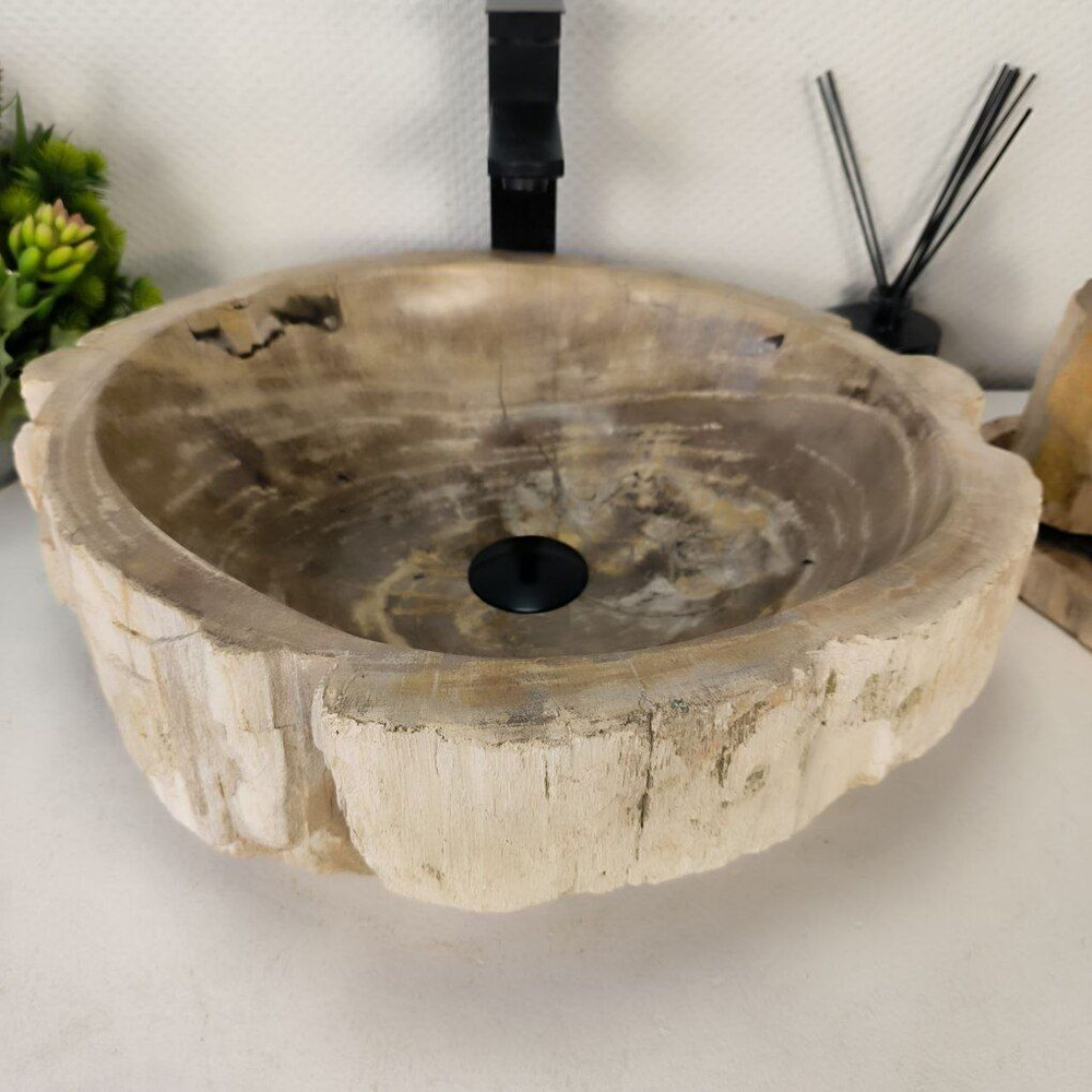 Каменная раковина из окаменелого дерева OD-04351 (49*44*15) 0175 из натурального камня