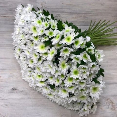 Букет из 35 кустовых хризантем