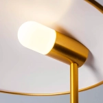 Торшер светодиодный Lightstar MARMARA 801713