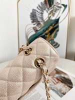 Chanel Flap 25 cm