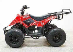 Электроквадроцикл Green Camel Гоби K51 (36V 800W R7 Цепь) ножной тормоз