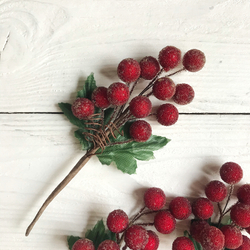 Ягоды на ветке, красные