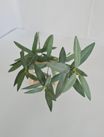 Олива премиум серебристая без плодов / Арт 1151