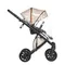 Коляска ANEX e/type 3 в 1 (et-SE04) joy