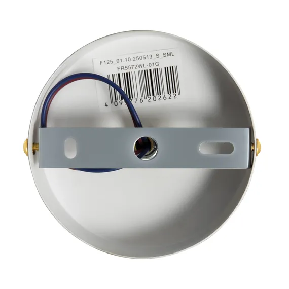 Настенный светильник (бра) FR5572WL-01G Саффле / Säffle E14x1 Freya fr5572wl-01g