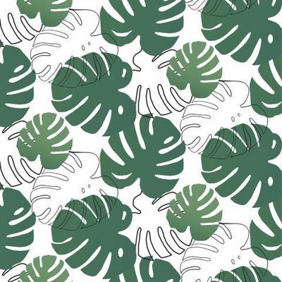 Монстера градиент на белом