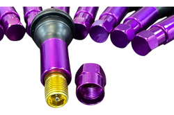 Вентиль колеса автомобильный GWK010 Great Wolf в сборе, фиолетовый (10шт)