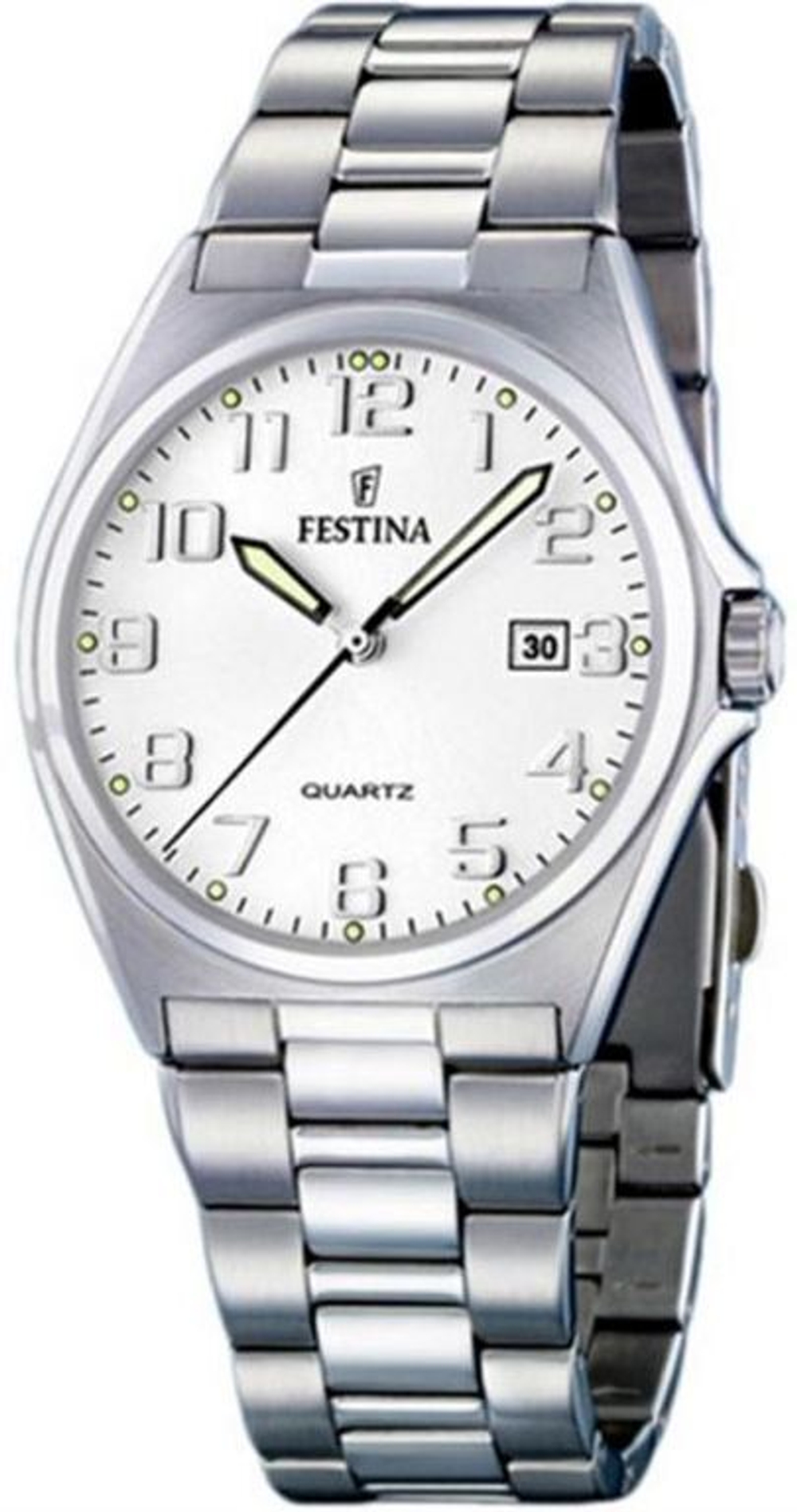 Мужские наручные часы Festina F16374/6