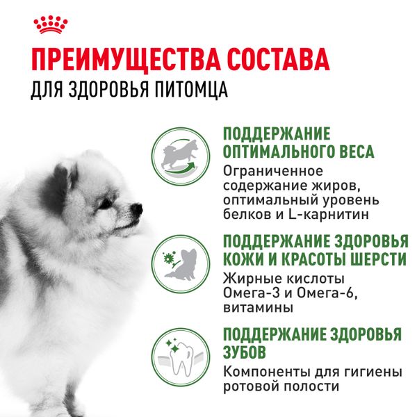 Сухой корм Royal Canin Mini Indoor Adult для взрослых собак мелких размеров, живущих в помещении