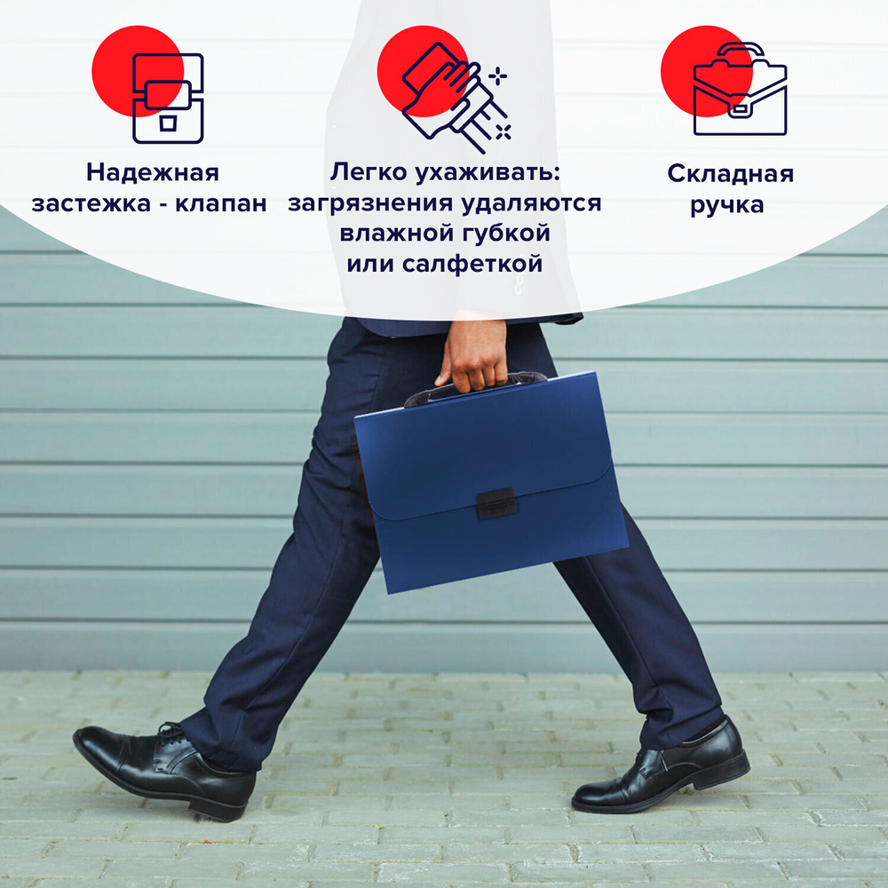 Папка-портфель пластиковая BRAUBERG "Energy" А4 (330х256х32 мм) 7 отделений синий (3 штуки в упаковке)