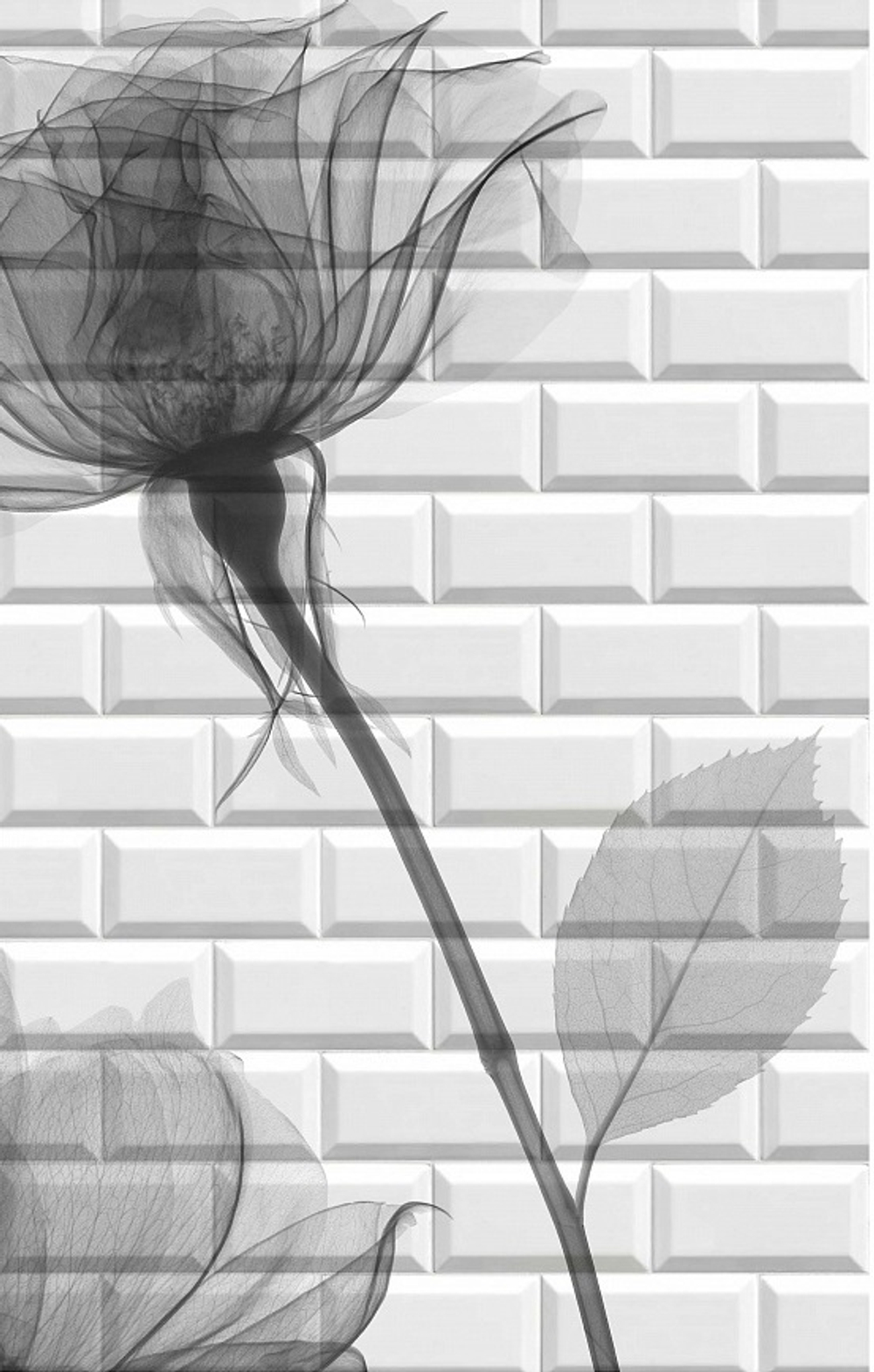 Панель ПВХ 3D Бланш Розы рисунок 2700х250 мм