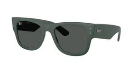 Очки Ray Ban RB4840S 665787