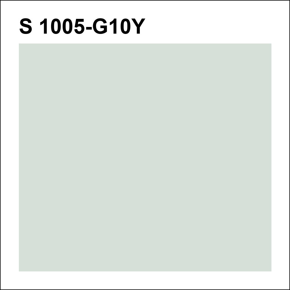 S 1005-G10Y за кг