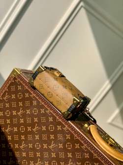 Louis Vuitton Side Trunk PM