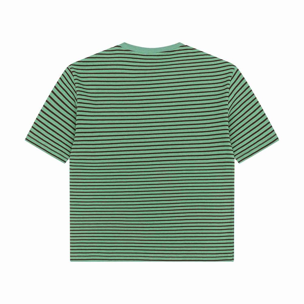 Футболка Ymkashix Stripe зеленый / коричневый