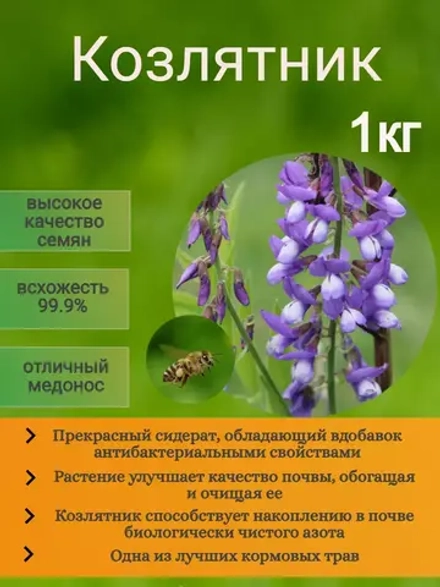 Козлятник сидерат 1 кг