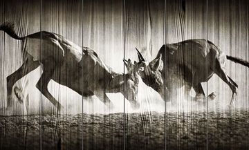 Панно из дерева Red Hartebeest