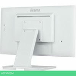 Монитор Iiyama ProLite T2252MSC-W2