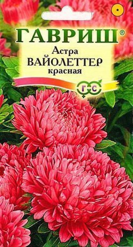 Семена Астра Вайолеттер красная пионовидная Вайолеттер красная пионовидная