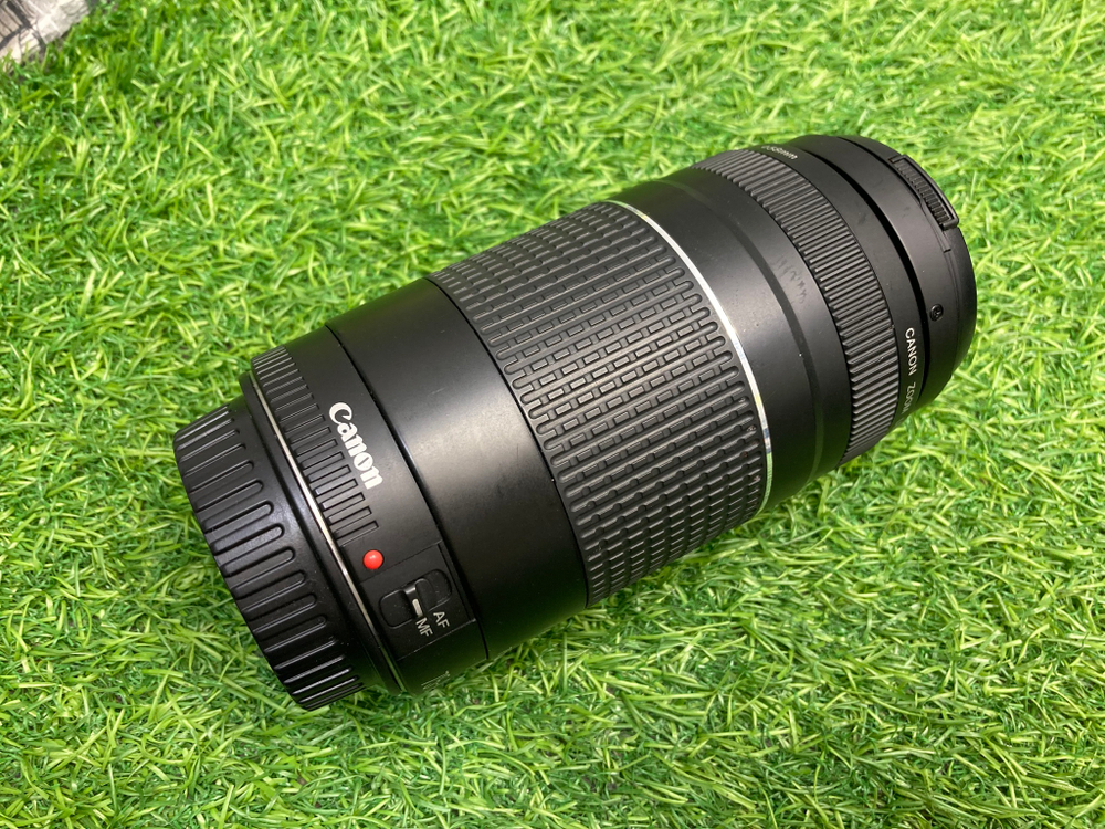 Canon EF 75-300mm 4-5.6 III