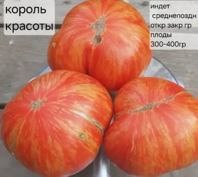 КОРОЛЬ КРАСОТЫ