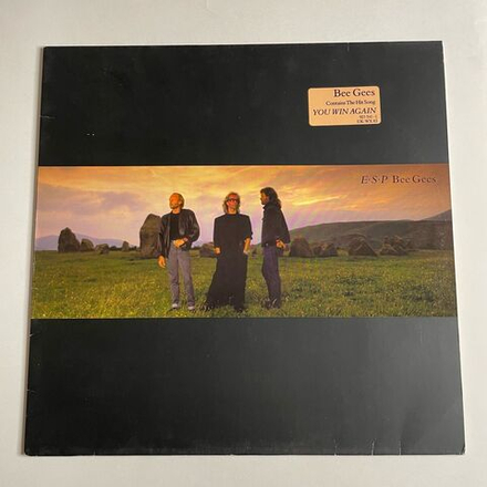 Винтажная виниловая пластинка LP Bee Gees E S P (Germany 1987) Angela