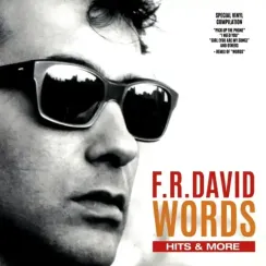 F. R. David - Words Hits & More LP