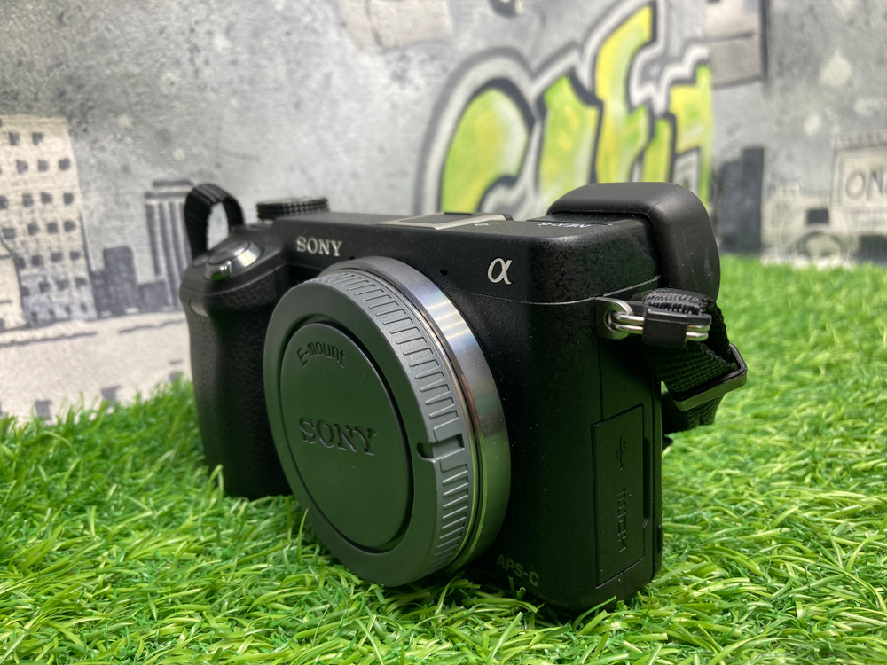 Sony NEX-6 (1.350 кадров)