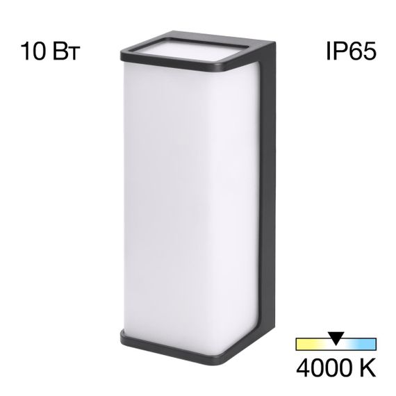 Уличный настенный светодиодный светильник Citilux Domus CLU0802