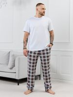 Брюки мужские Тор-1.1 Виотекс КЛЕТКА РАЗНОЦВЕТНАЯ