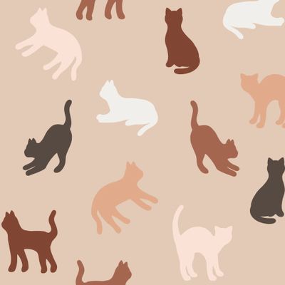 Кошки, котики, котята