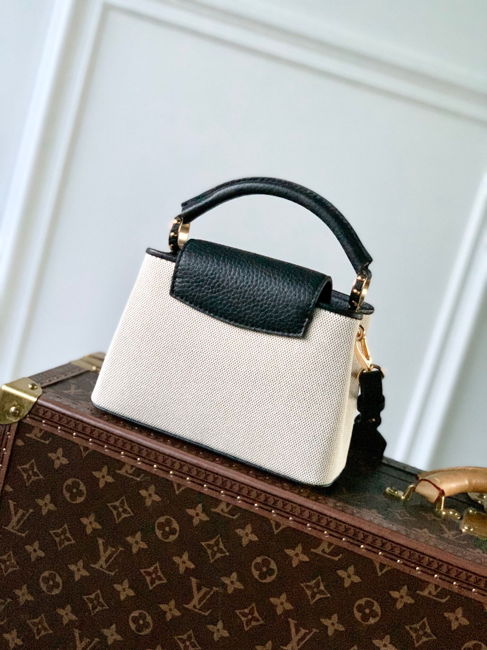 Louis Vuitton Capucines Mini