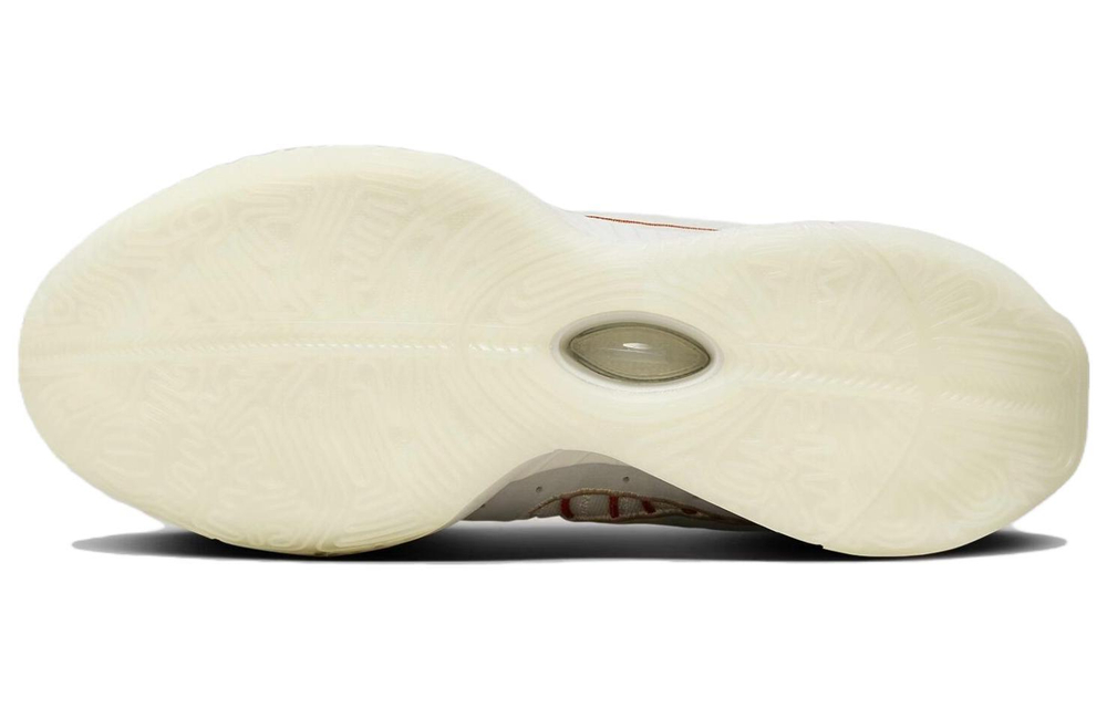 Кроссовки Nike Lebron 21 Ep "Akoya" 21 Lbj21