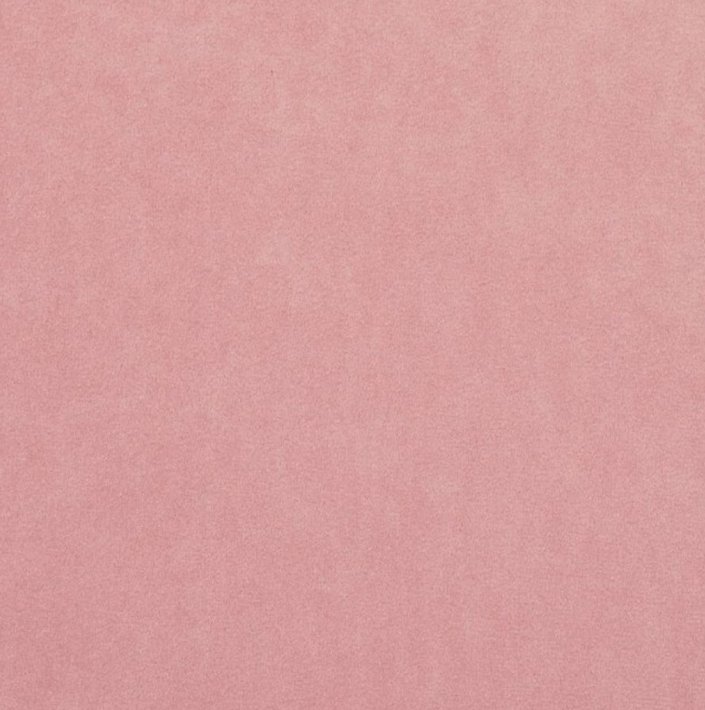 Микровелюр Бэст 27