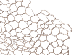 Салфетка подстановочная Chilewiсh Pressed Sea Lace Gunmetal 100546-002