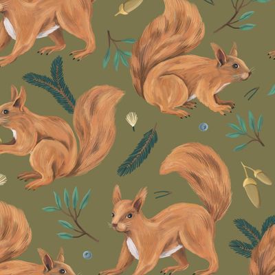 Белки на болотном фоне