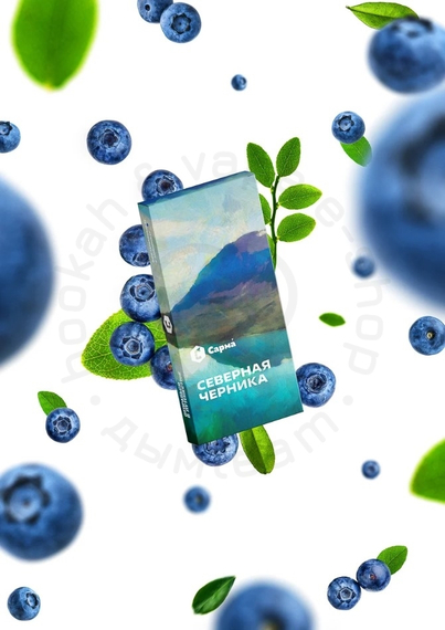 Табак для кальяна &quot;Сарма&quot; Северная черника 100г.