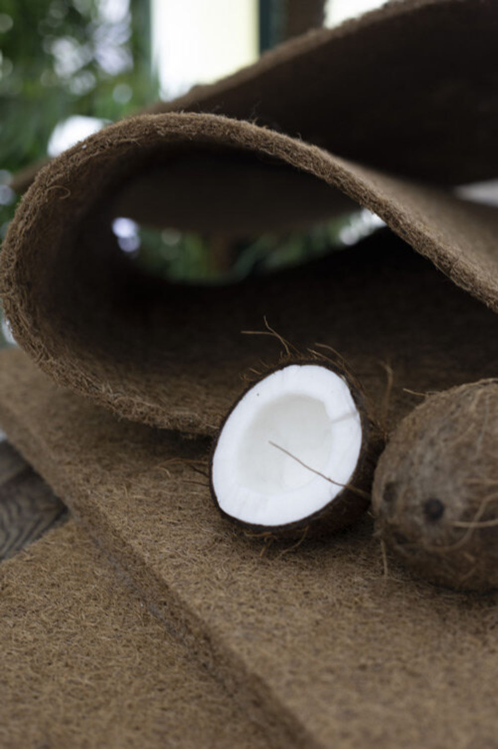 Dreamline Medium Foam  Massage 1000, независимые пружины