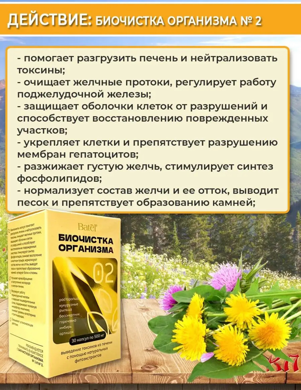 Биочистка организма 02, выведение токсинов из печени