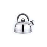 Чайник нерж 2,6л со св LKD-1026 TM Bingo