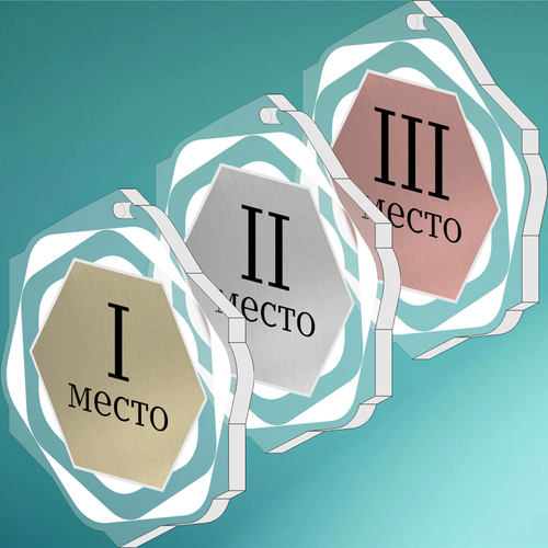 Акриловая медаль 1706