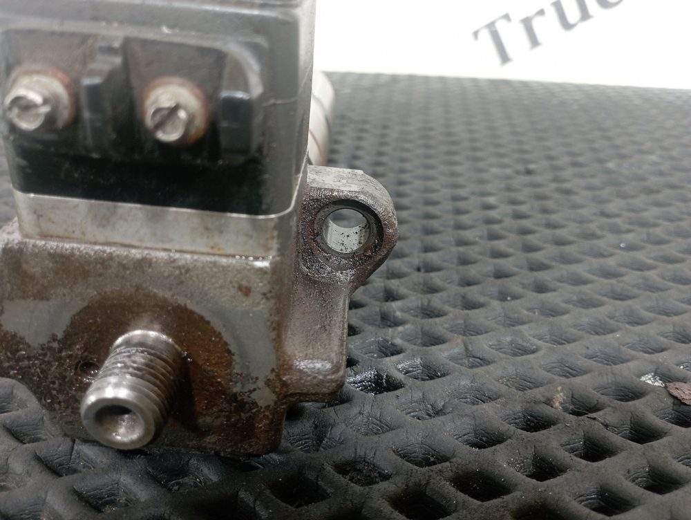 PLD секция 2018г