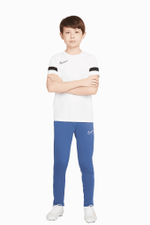 Штаны Nike Dry Academy 21 Junior