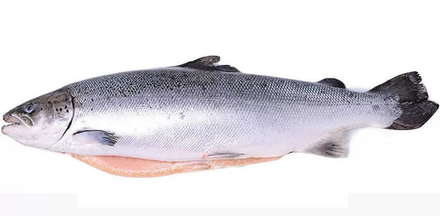 Лосось с/м ПСГ 6-7 прем.вес. Чили