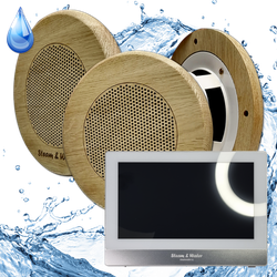 Комплект домашней акустической системы с караоке-усилителем Steam & Water SOUND SAUNA R3